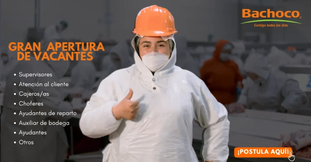 🥚 ¡TRABAJO EN BACHOCO 2026!🍗